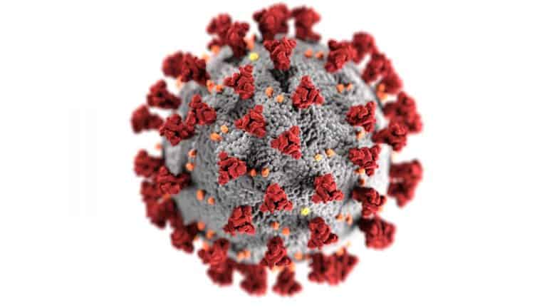 COVID-19 (koronavirus) en hoe dit ons as ouers en onderwysers raak