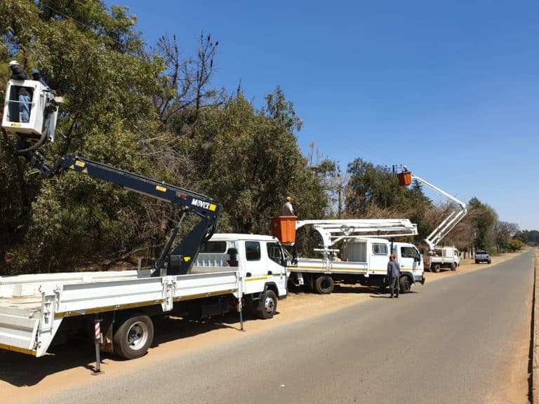 AfriForum se Randfontein-tak snoei bome om kragonderbrekings te voorkom