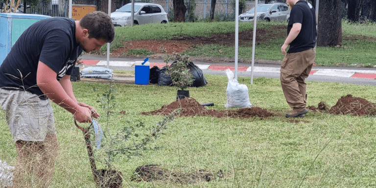 Potchefstroom-tak plant eikebome in historiese laning