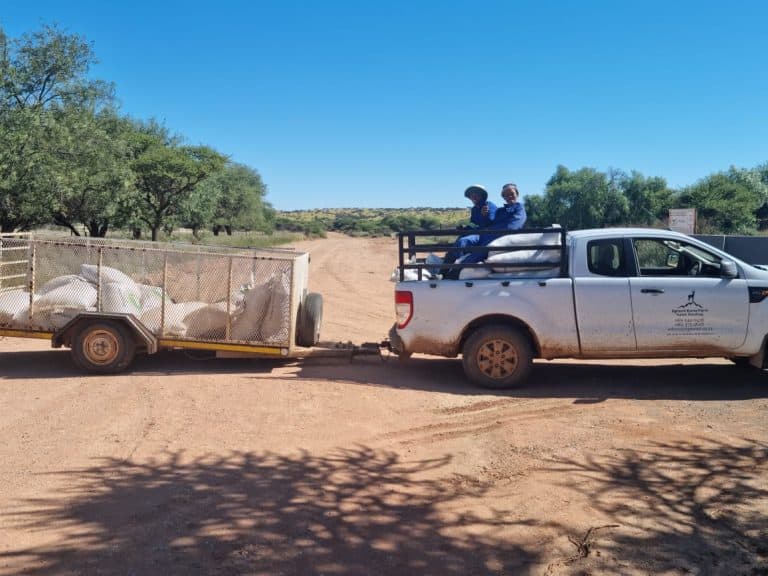 AfriForum skenk voer aan Bo-Karoo-boere in nood