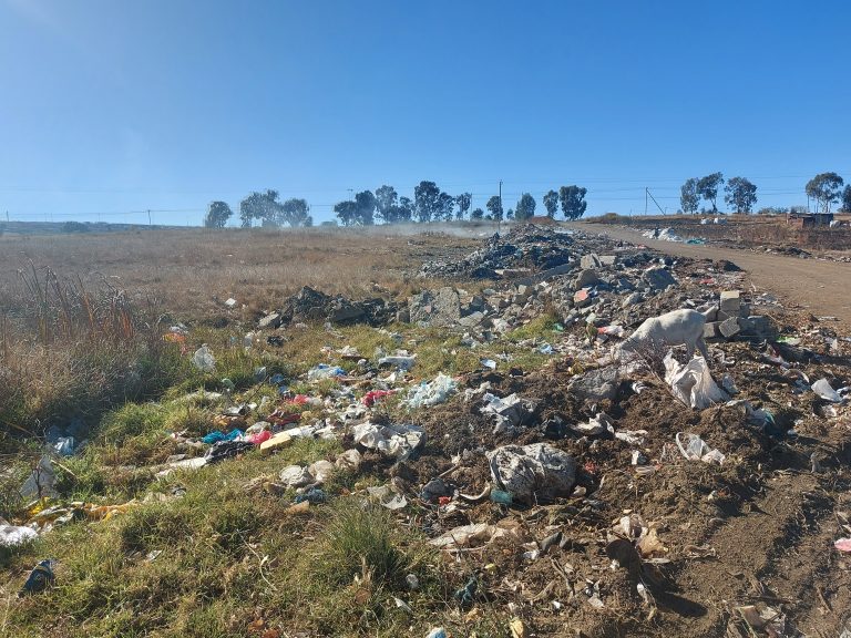 Landfill site audit: 81,5% of sites do not meet minimum standards