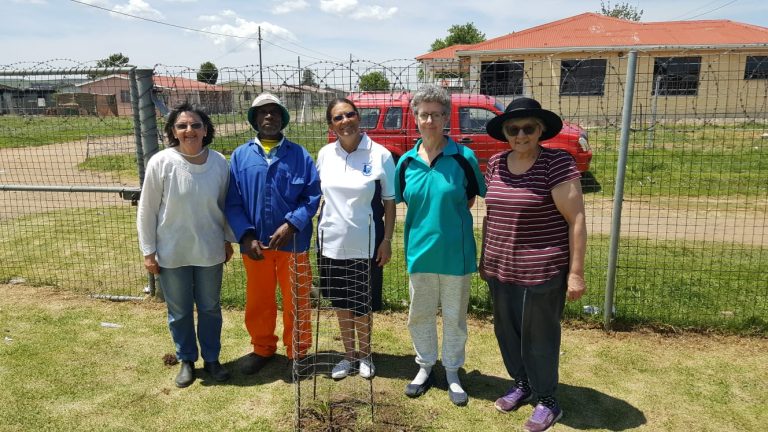 AfriForum se Elliot-tak plant bome by Hillview Primêre Skool