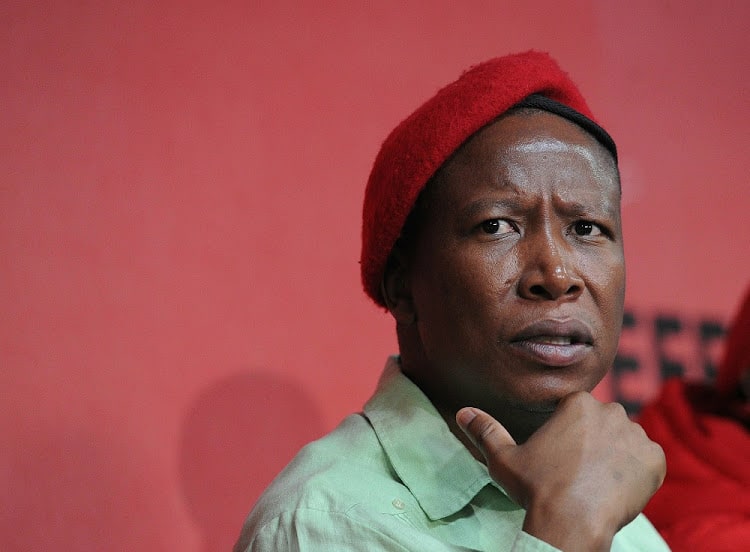 Malema hate speech case: Expert witness says Malema’s comments constitute hate speech